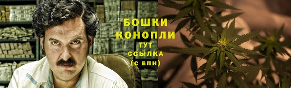 mix Белокуриха