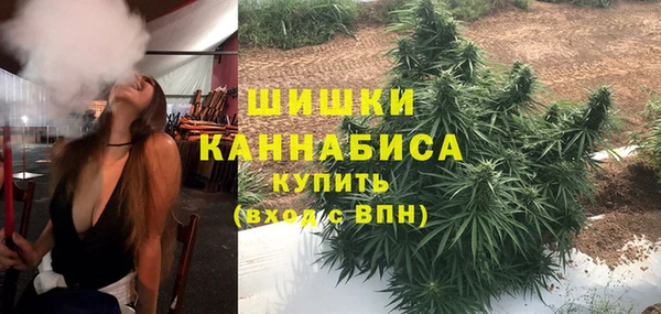 mix Белокуриха