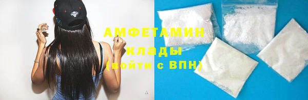 прущие грибы Беломорск