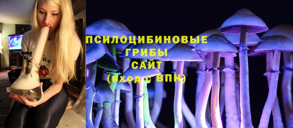 прущие грибы Беломорск