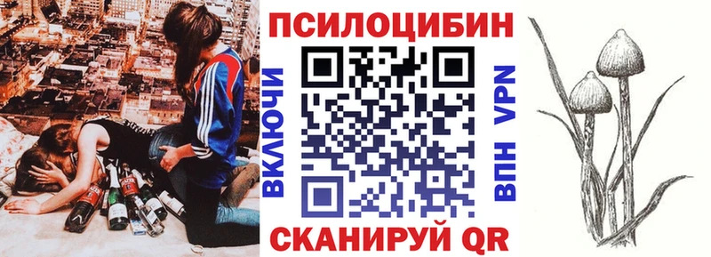 купить наркоту  Малая Вишера  Галлюциногенные грибы мухоморы 